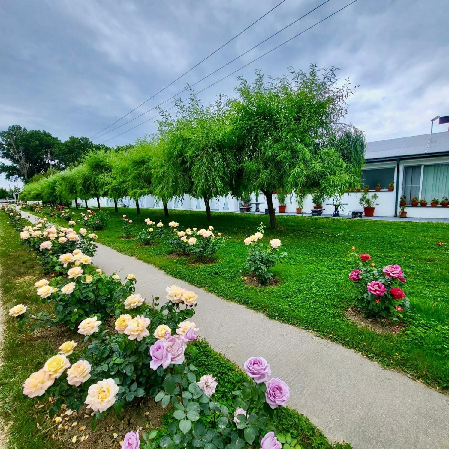 Royal Park Complex Hotel Bascov ภายนอก รูปภาพ